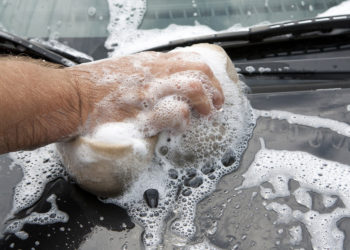 Noticias Tres claves para eliminar los mosquitos del coche 350x250 - Noticias