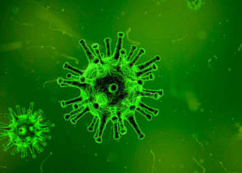 Grupo Torrejon desinfecta tu coche del coronavirus gratis 350x250 - Noticias