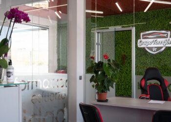 Noticias convierte tu experiencia en exito empresarial junto a grupo torrejon 350x250 - Noticias